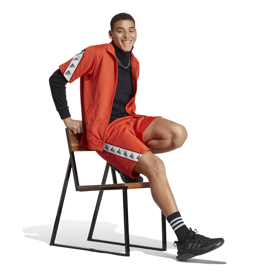 adidas - Herren Taped Shorts (IB8413)