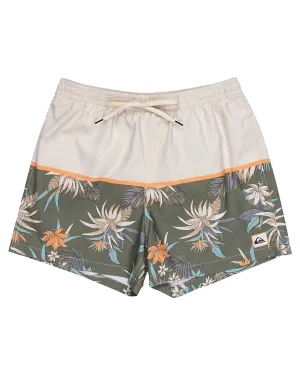 Quiksilver Kleidung Life On The Reef Volley Shorts in Birke